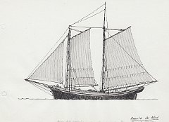 185 America del Nord - Herring fishery - pesca delle aringhe con dories in coperta
